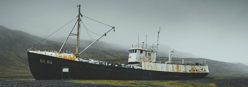 Switching Roles After Installation Might Break Your Experience Profile Dashboard, and More!